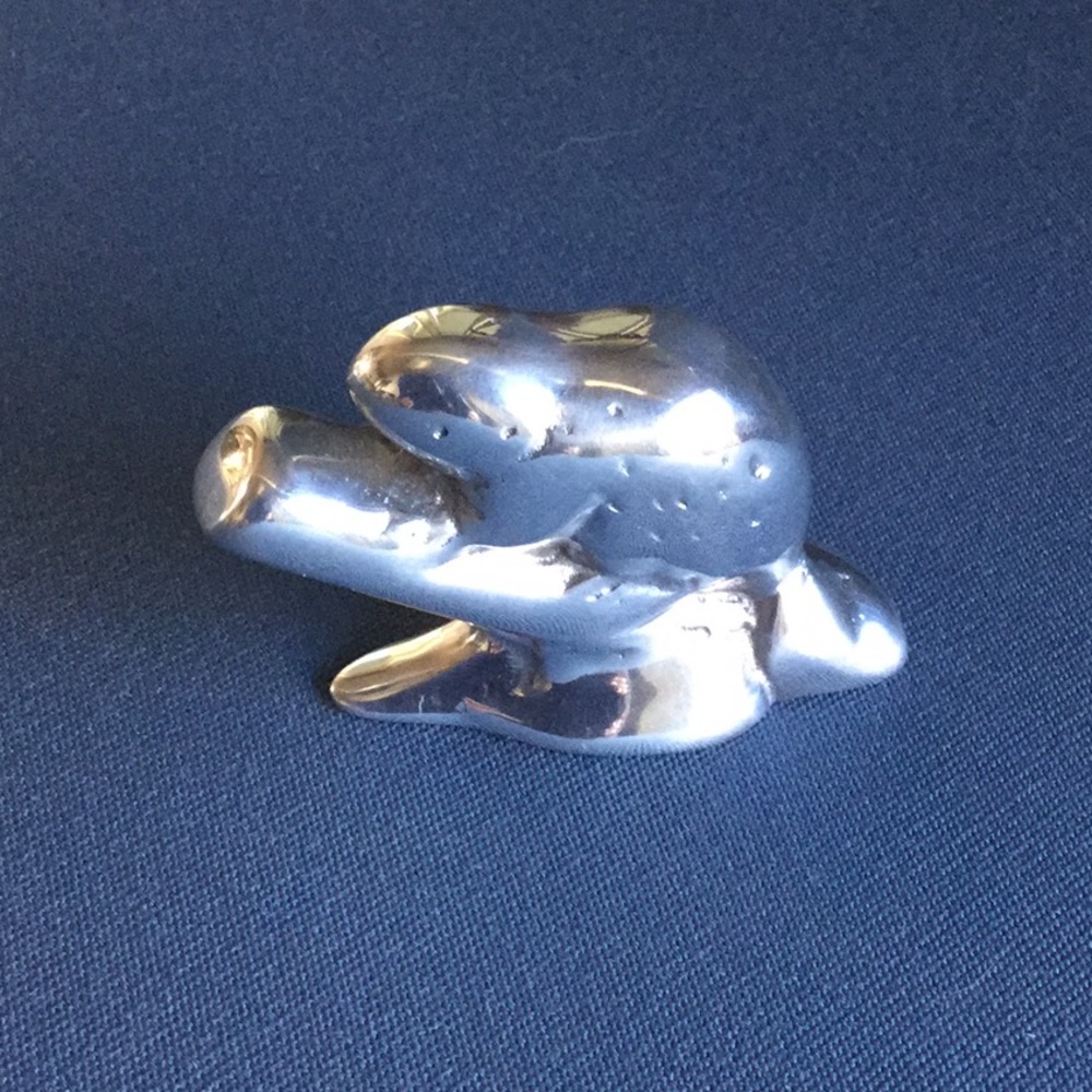 Hoselton Studios Beaver